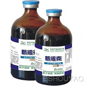 新诺克——主治非.