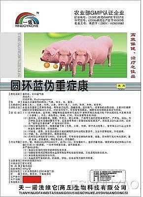 圆环蓝伪重症康