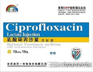 乳酸环丙沙星注射.