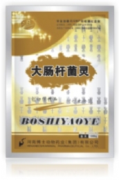 大肠杆菌灵