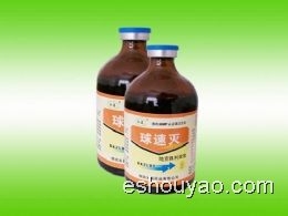 球速灭(专治小肠.