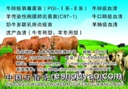 羊口疮血清