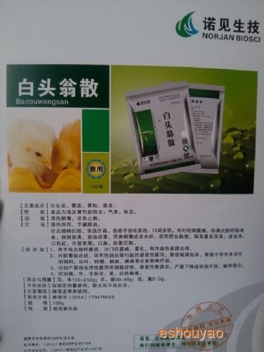 白头翁散（1）纯.