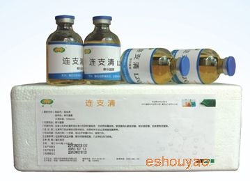 连支清——泰乐菌.