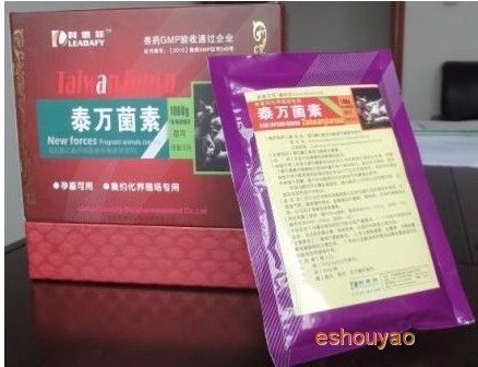 支原体病副猪嗜血.