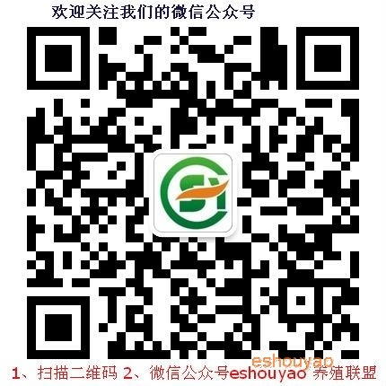 养鸡用药，你必须走出.