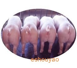 兴旺猪药批发